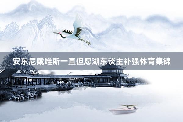 安东尼戴维斯一直但愿湖东谈主补强体育集锦