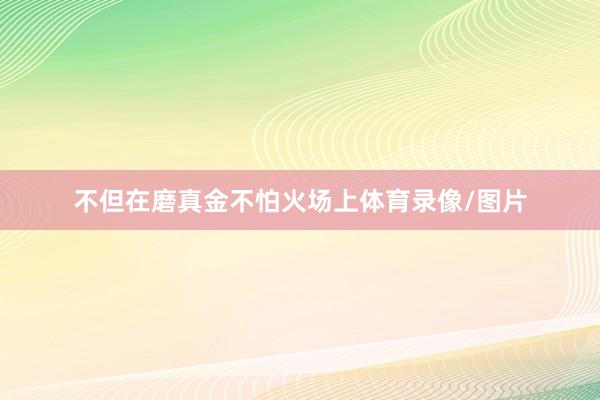 不但在磨真金不怕火场上体育录像/图片