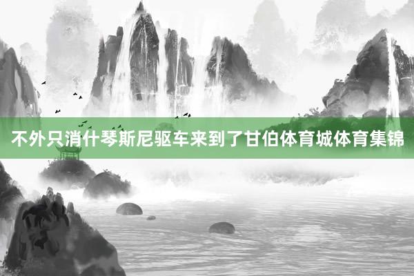 不外只消什琴斯尼驱车来到了甘伯体育城体育集锦