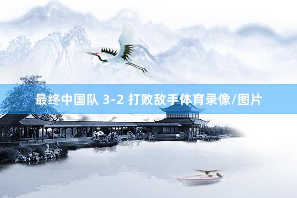 最终中国队 3-2 打败敌手体育录像/图片