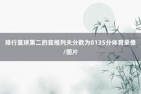 排行寰球第二的兹维列夫分数为8135分体育录像/图片