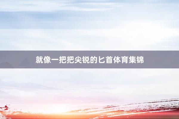 就像一把把尖锐的匕首体育集锦
