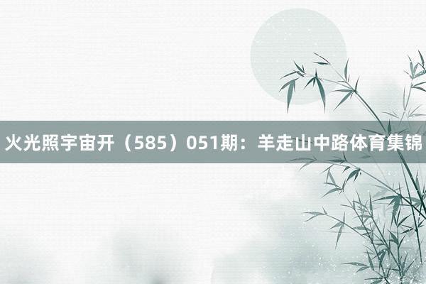 火光照宇宙开（585）　　051期：羊走山中路体育集锦