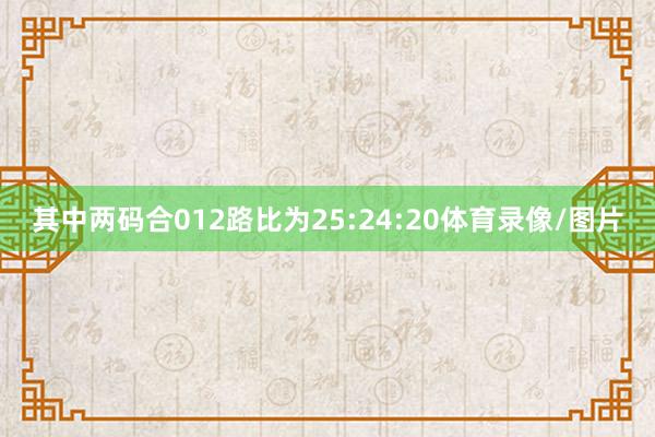 其中两码合012路比为25:24:20体育录像/图片