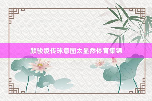 颜骏凌传球意图太显然体育集锦