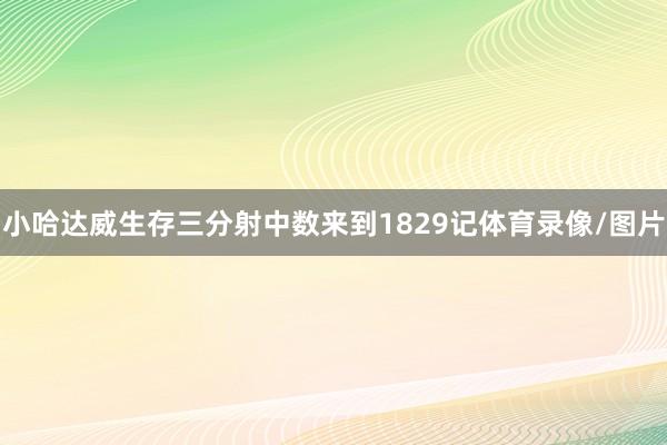 小哈达威生存三分射中数来到1829记体育录像/图片