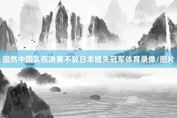 固然中国队在决赛不敌日本错失冠军体育录像/图片