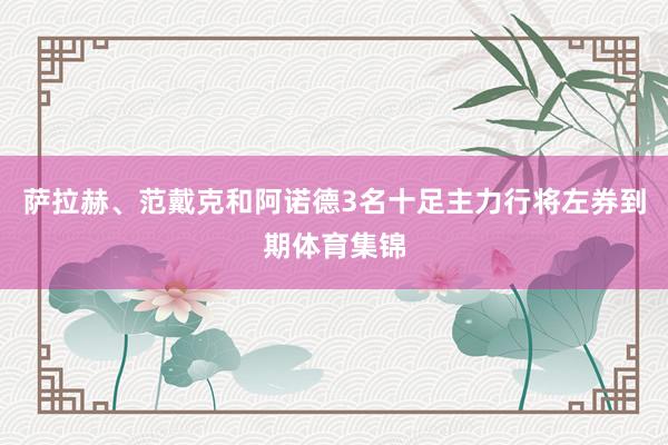 萨拉赫、范戴克和阿诺德3名十足主力行将左券到期体育集锦
