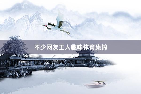 不少网友王人趣味体育集锦