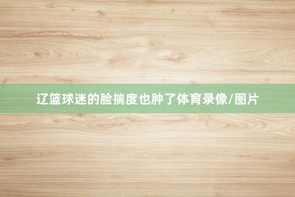 辽篮球迷的脸揣度也肿了体育录像/图片