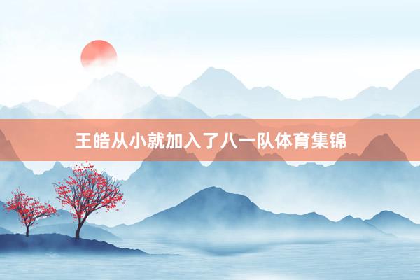 王皓从小就加入了八一队体育集锦