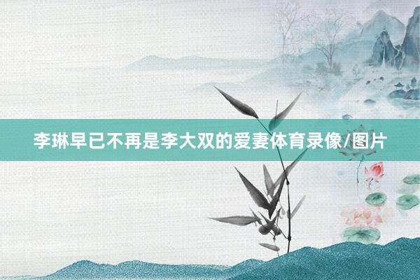 李琳早已不再是李大双的爱妻体育录像/图片
