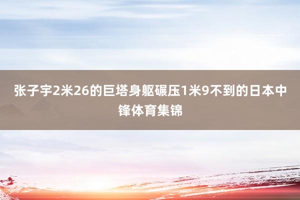 张子宇2米26的巨塔身躯碾压1米9不到的日本中锋体育集锦