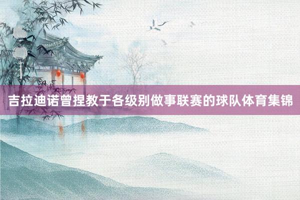 吉拉迪诺曾捏教于各级别做事联赛的球队体育集锦