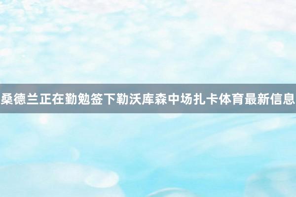 桑德兰正在勤勉签下勒沃库森中场扎卡体育最新信息