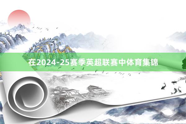 在2024-25赛季英超联赛中体育集锦