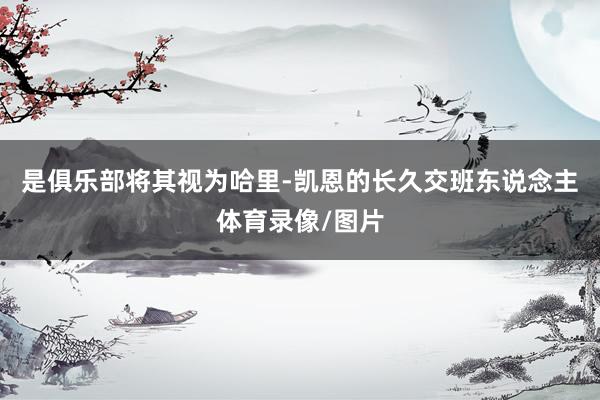 是俱乐部将其视为哈里-凯恩的长久交班东说念主体育录像/图片