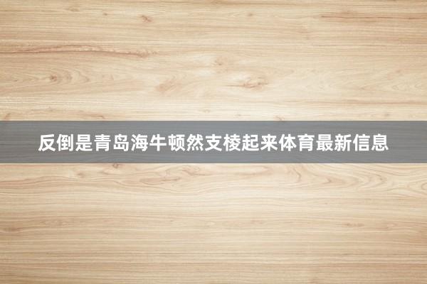 反倒是青岛海牛顿然支棱起来体育最新信息