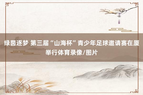 绿茵逐梦 第三届“山海杯”青少年足球邀请赛在厦举行体育录像/图片