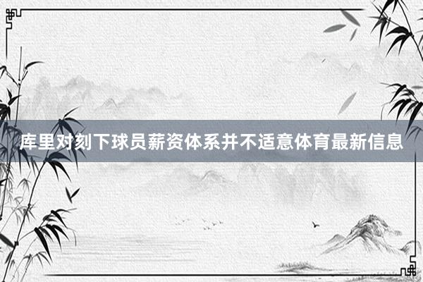 库里对刻下球员薪资体系并不适意体育最新信息