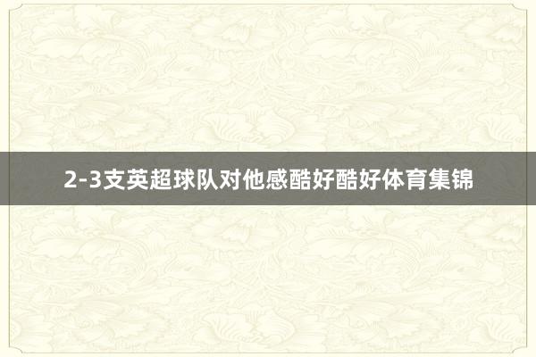 2-3支英超球队对他感酷好酷好体育集锦