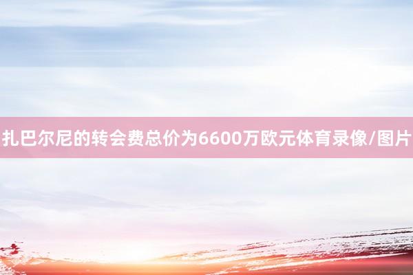 扎巴尔尼的转会费总价为6600万欧元体育录像/图片