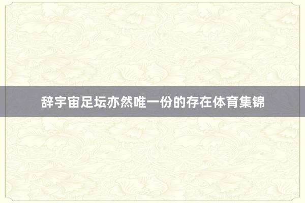 辞宇宙足坛亦然唯一份的存在体育集锦