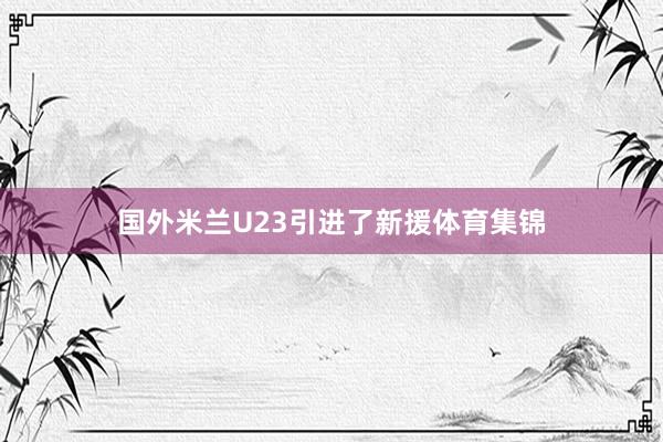 国外米兰U23引进了新援体育集锦