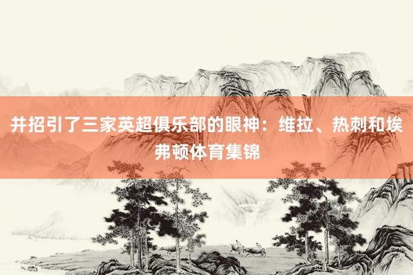 并招引了三家英超俱乐部的眼神：维拉、热刺和埃弗顿体育集锦