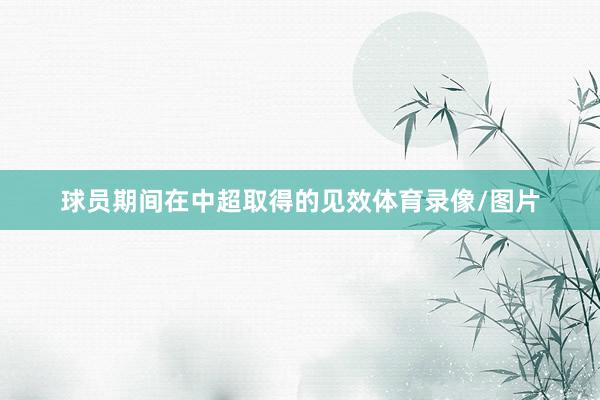 球员期间在中超取得的见效体育录像/图片