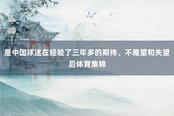 是中国球迷在经验了三年多的期待、不雅望和失望后体育集锦
