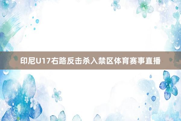 印尼U17右路反击杀入禁区体育赛事直播