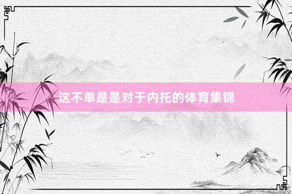 这不单是是对于内托的体育集锦