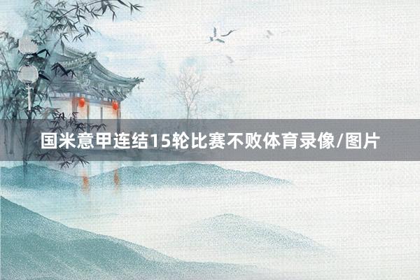 国米意甲连结15轮比赛不败体育录像/图片