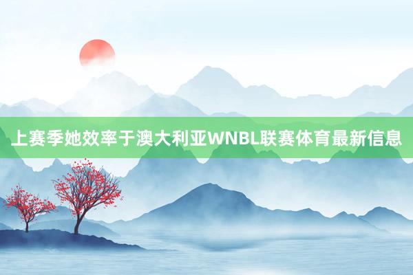 上赛季她效率于澳大利亚WNBL联赛体育最新信息