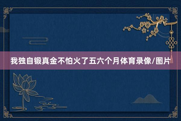 我独自锻真金不怕火了五六个月体育录像/图片