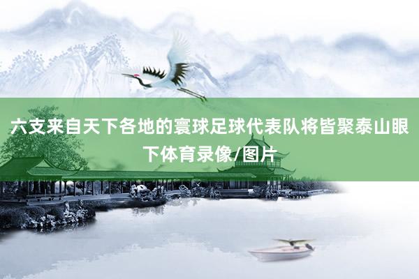 六支来自天下各地的寰球足球代表队将皆聚泰山眼下体育录像/图片