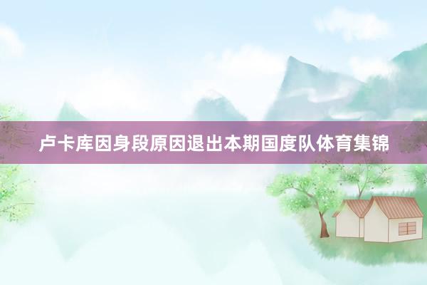 卢卡库因身段原因退出本期国度队体育集锦