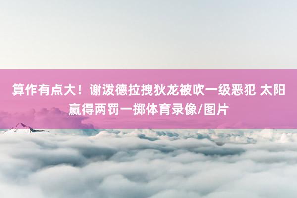 算作有点大！谢泼德拉拽狄龙被吹一级恶犯 太阳赢得两罚一掷体育录像/图片
