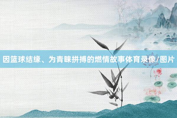 因篮球结缘、为青睐拼搏的燃情故事体育录像/图片