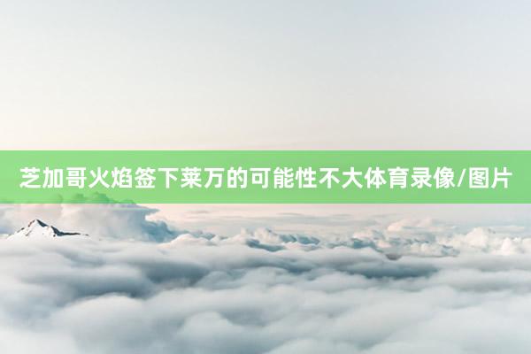 芝加哥火焰签下莱万的可能性不大体育录像/图片