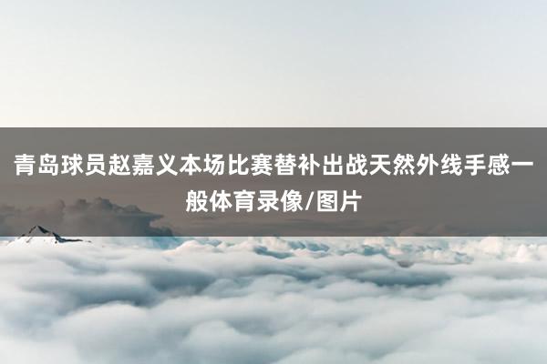 青岛球员赵嘉义本场比赛替补出战天然外线手感一般体育录像/图片