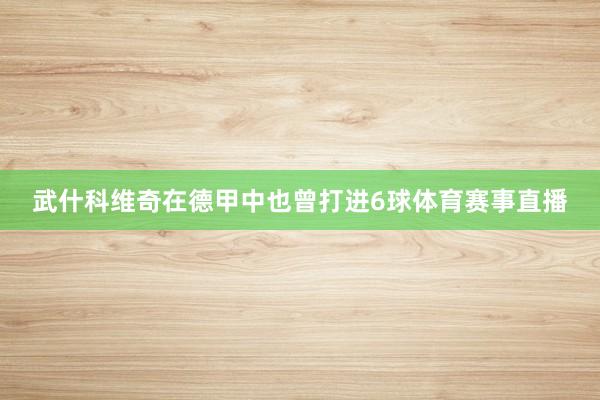 武什科维奇在德甲中也曾打进6球体育赛事直播