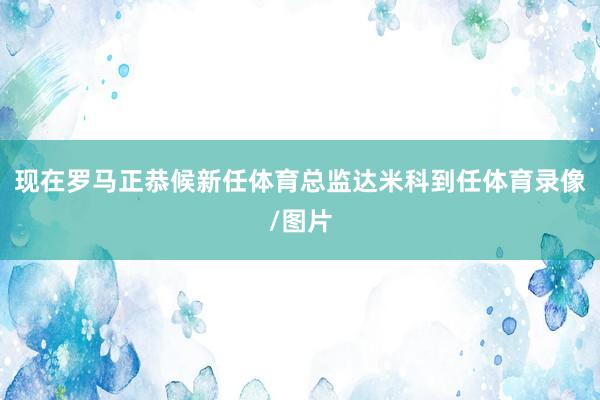 现在罗马正恭候新任体育总监达米科到任体育录像/图片