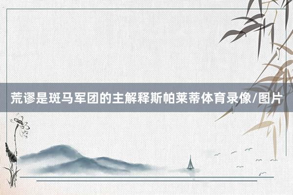 荒谬是斑马军团的主解释斯帕莱蒂体育录像/图片
