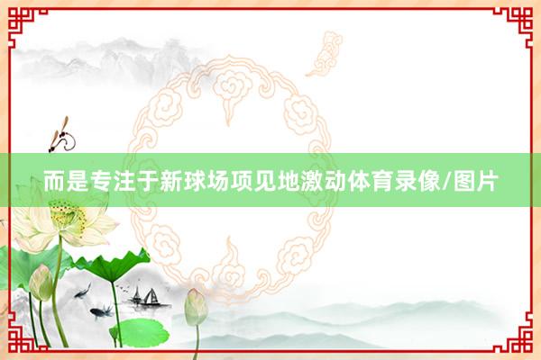 而是专注于新球场项见地激动体育录像/图片