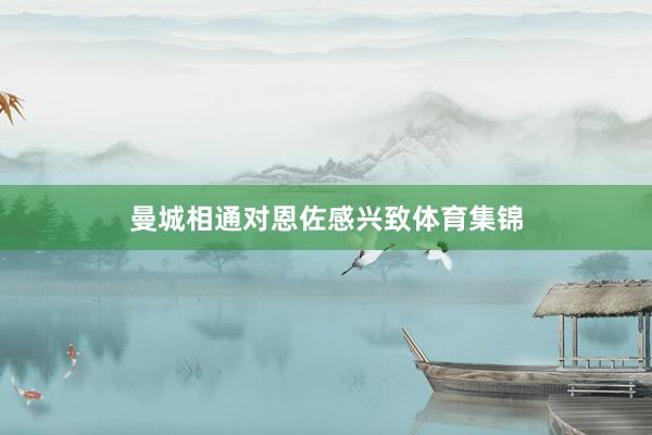 曼城相通对恩佐感兴致体育集锦