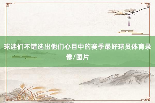 球迷们不错选出他们心目中的赛季最好球员体育录像/图片