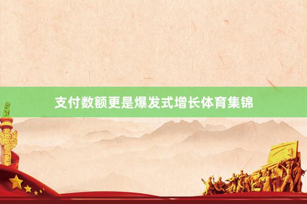 支付数额更是爆发式增长体育集锦