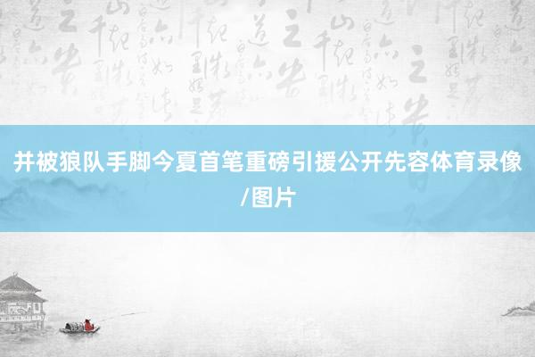 并被狼队手脚今夏首笔重磅引援公开先容体育录像/图片